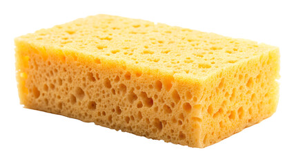 sponge isolated on white background