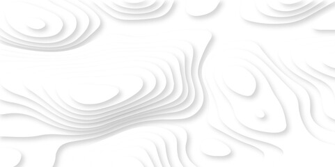 Abstract vector illustration 3d papercut wave line pattern background. white and gray luxury grid topography map and satin smooth wallpaper matt paper light texture.	
