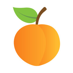 Peach Illustration