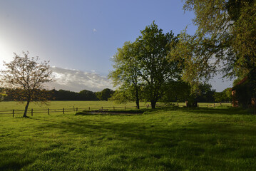 Gruene Landschaft in morgendlicher Sonne bei blauem Himmel und weissen Wolken, Green landscape in the morning sun with blue sky and white clouds
