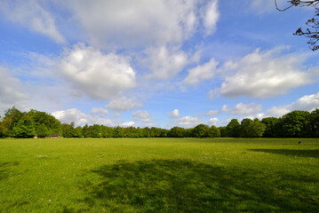 Gruene Landschaft bei strahlendem Sonnenschein, blauem Himmel und weissen Wolken, Green landscape with bright sunshine, blue skies and white clouds