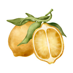 Watercolor lemons illustration. With green leaves. Transparent background.