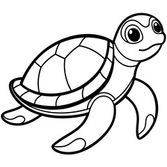 illustration of turtle