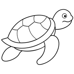 turtle illustration