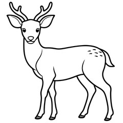 illustration of a deer
