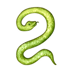 Number two in the form of a green snake as a symbol of Happy Chinese New Year 2025 according to the zodiac sign of the year of the Snake. Watercolor illustration for templates of cards, congratulation
