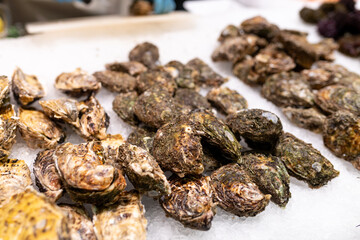 Fresh Oysters on the counter on ice in store. Oysters for sale at the seafood market. Aphrodisiac sea restaurant, expensive fresh food, dish menu