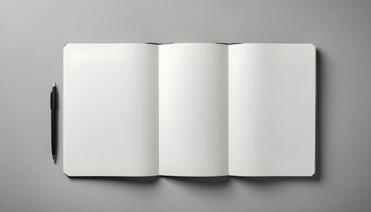 Fototapeta premium book with pages