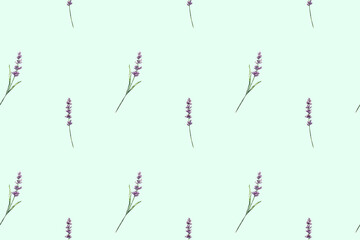 Lavender pattern with purple flowers and leaf. Seamless floral background, repeating print. Botanical repeatable texture, provence design with lavender. printable design for for textile, wrapping