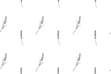 Lavender pattern with purple flowers and leaf. Seamless floral background, repeating print. Botanical repeatable texture, provence design with lavender. printable design for for textile, wrapping