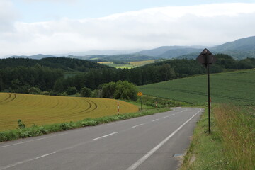 홋카이도 후라노 들판