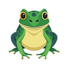 Illustration of Common Frog Isolated