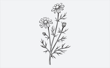 Bouquet Vector Images, Flower Bouquet Illustrations & Vectors Download Jpg.