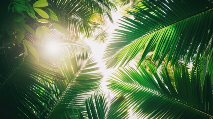 Obraz premium Green coconut leaves in a lovely view