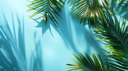 Obraz premium A minimalist botanical background showcasing palm fronds with a bright blue sky The leaves are detailed and sharp