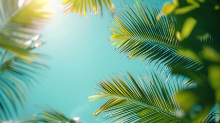 Obraz premium A vibrant tropical scene featuring closeup palm leaves against a clear blue sky The leaves are sharply defined with a mix of light and shadow