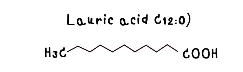 molecular structure of fatty acid Lauric acid illustration