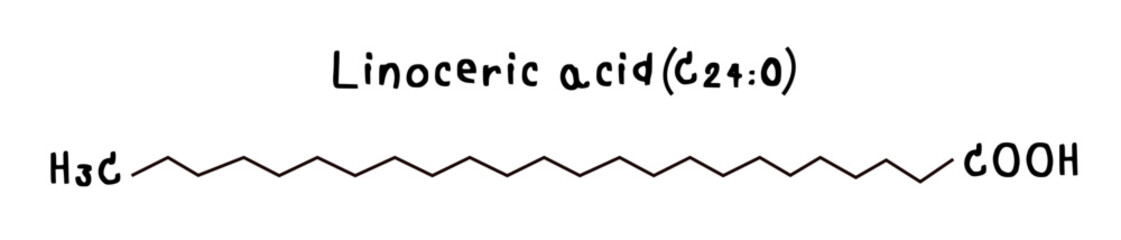 molecular structure of fatty acid linoceric acid illustration