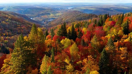 The changing colors of fall in the valleys as you descend closer to the treetops
