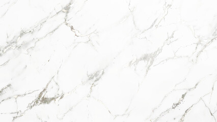 White grey marble seamless glitter texture background,  abstract background from interior building banner background