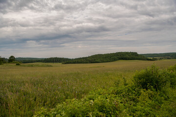 field and blue sky