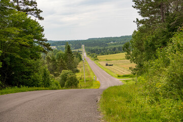 Country road into hills