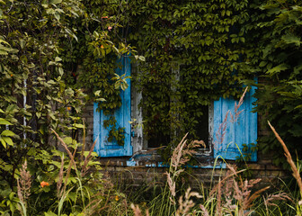 Abandoned House with Overgrown Vegetation