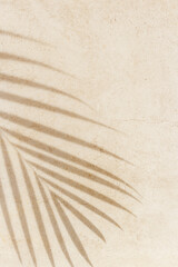 Summer background, top view sun shadow from palm leaf on sandy colored background. Summer aesthetic...