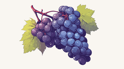 Obraz premium Bunch of grapes sketch icon for web mobile 