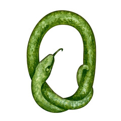 Number zero in the form of a green snake as a symbol of Happy Chinese New Year 2025 according to the zodiac sign of the year of the Snake. Watercolor illustration for templates of card, congratulation