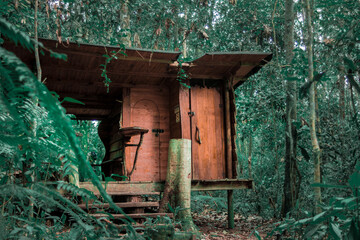 cabaña en el bosque