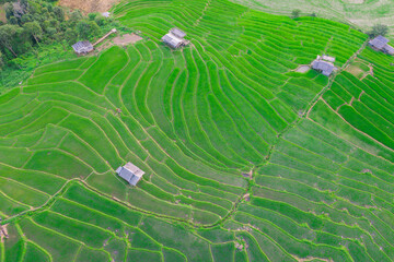 Aerial view of rice field Pa​ Bong​ Piang​ Rice Terraces​ at Pa Bong Piang village in Mae Cham, Chiangmai, Thailand.