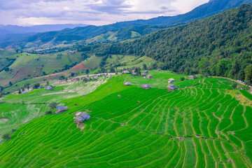 Fototapeta premium Aerial view of rice field Pa​ Bong​ Piang​ Rice Terraces​ at Pa Bong Piang village in Mae Cham, Chiangmai, Thailand.