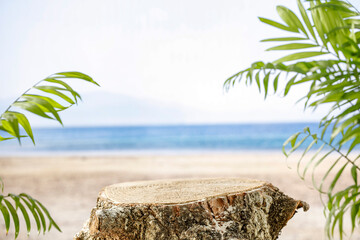 Wooden trunk with empty copy space with palm tree leaves and sea, sky and tropical beach background © magdal3na