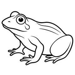 a frog vector design 