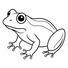 a frog vector design 