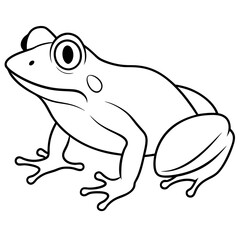 a frog vector design 