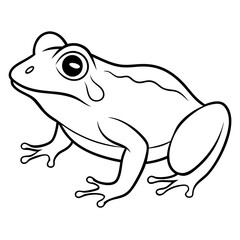 a frog vector design 