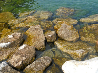 View of Submerged Weed Covered Rocks in Clear Waters of Italian Lake 