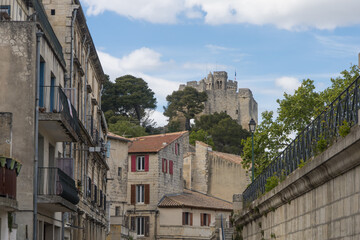 Le château de Beaucaire est un ancien château fort qui se dresse au bord du Rhône, sur la commune française de Beaucaire, dans le département du Gard, en région Occitanie.