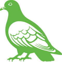 pigeon vector art illustration
