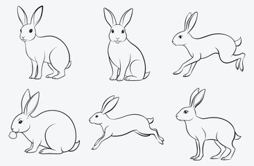 Ultimate Hare Line Art Set Vector, Exquisite and Detailed Designs
