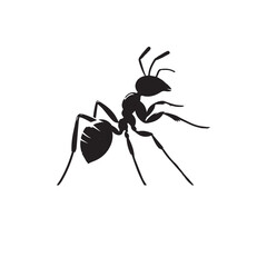Ant vector illustration