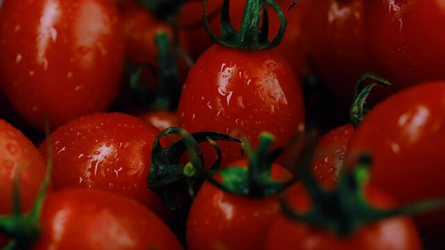 red fresh tomatoes in water droplets