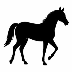 Horse Black silhouette