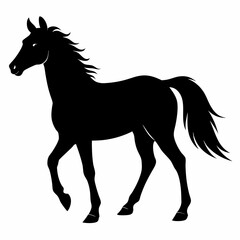 Horse Black silhouette