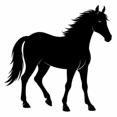 Horse Black silhouette