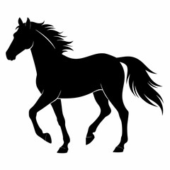 Horse Black silhouette