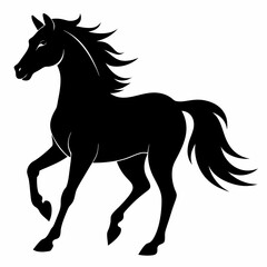 Horse Black silhouette