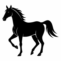 Horse Black silhouette